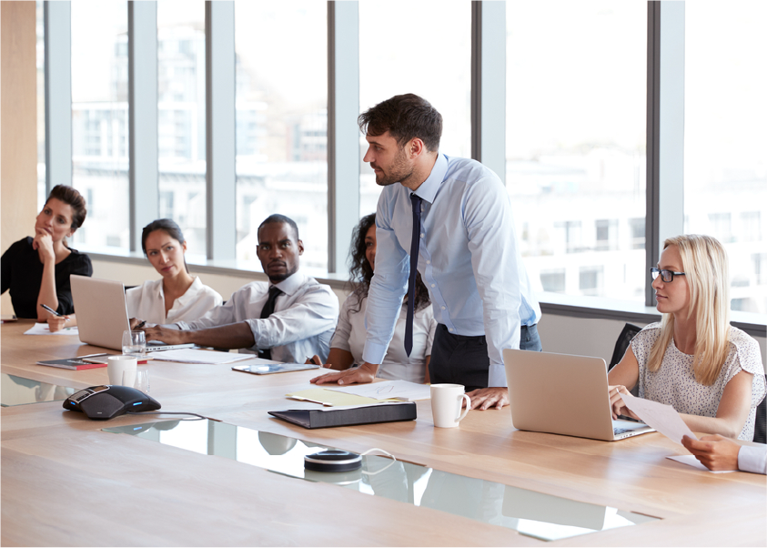 Fresh dates on palm tree